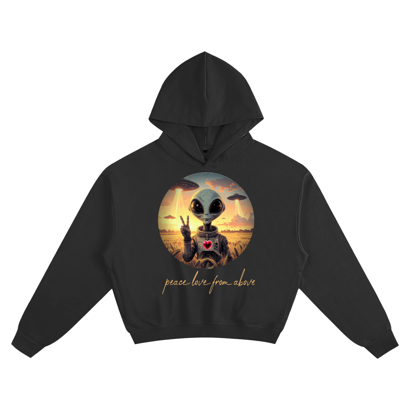 Peace Love Above | Hoodie