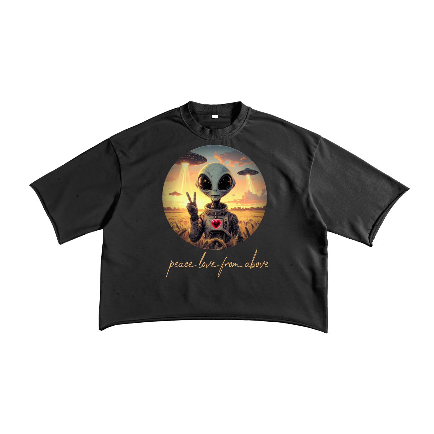 Peace Love Above | Raw Edge Tee